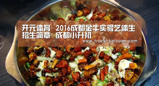 开元体育-2016成都金牛实验艺体生招生简章-成都小升初